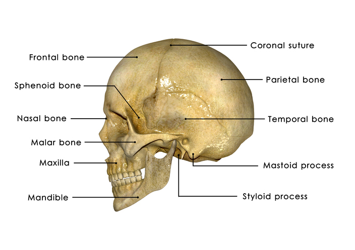 Skull Fracture: What It Is, Causes, Symptoms, Types & Treatments